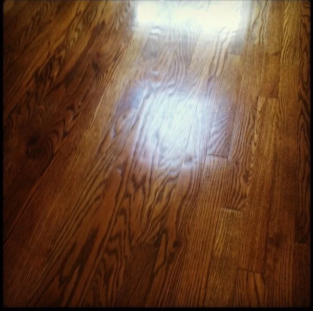 Seeing everything and nothing while looking at the hardwood floor.