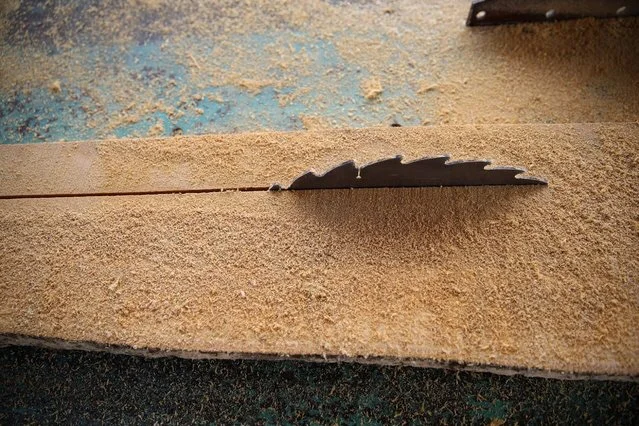 Sawdust and planks