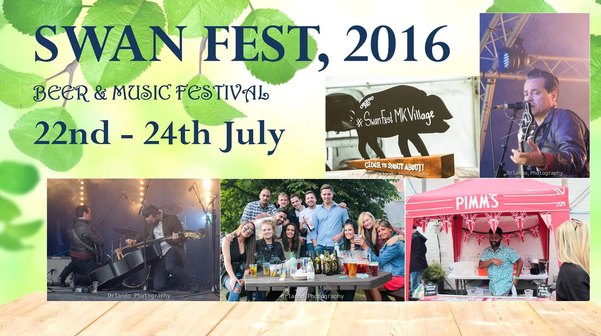 Swan Fest 2016