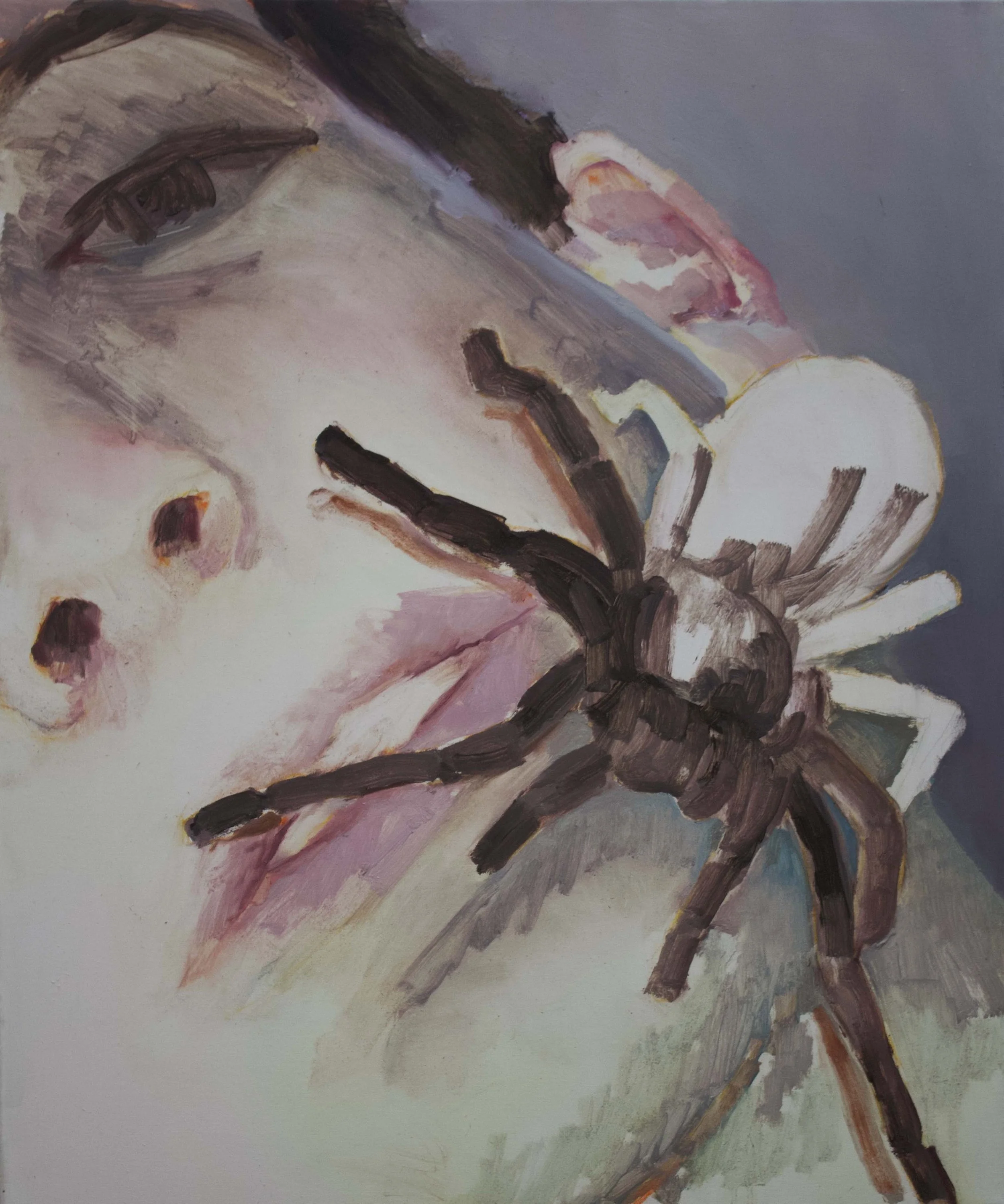 Tarantula_50x60cm_oiloncanvas_2019.jpeg