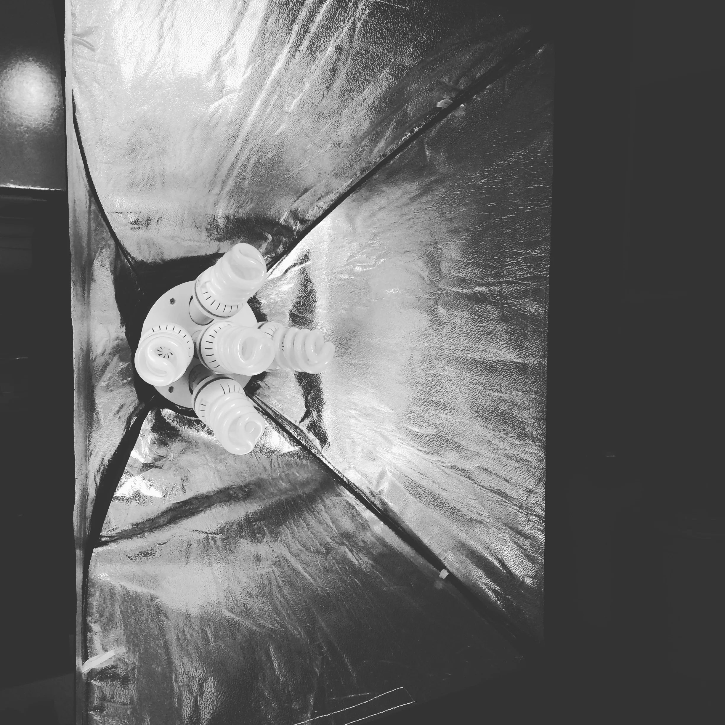 The daylight studio light.