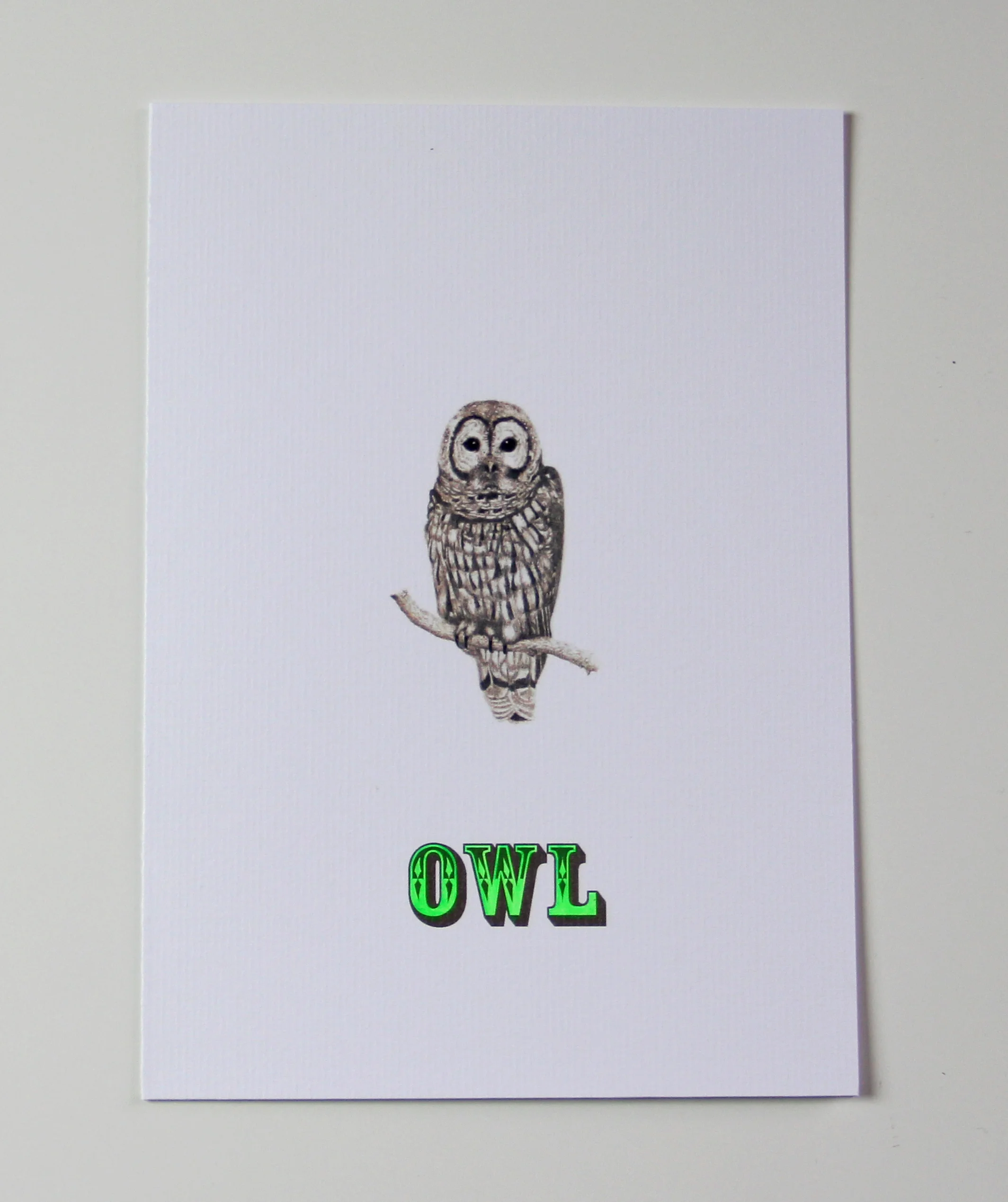 OWL GLOW-IN-THE-DARK NEON CARD