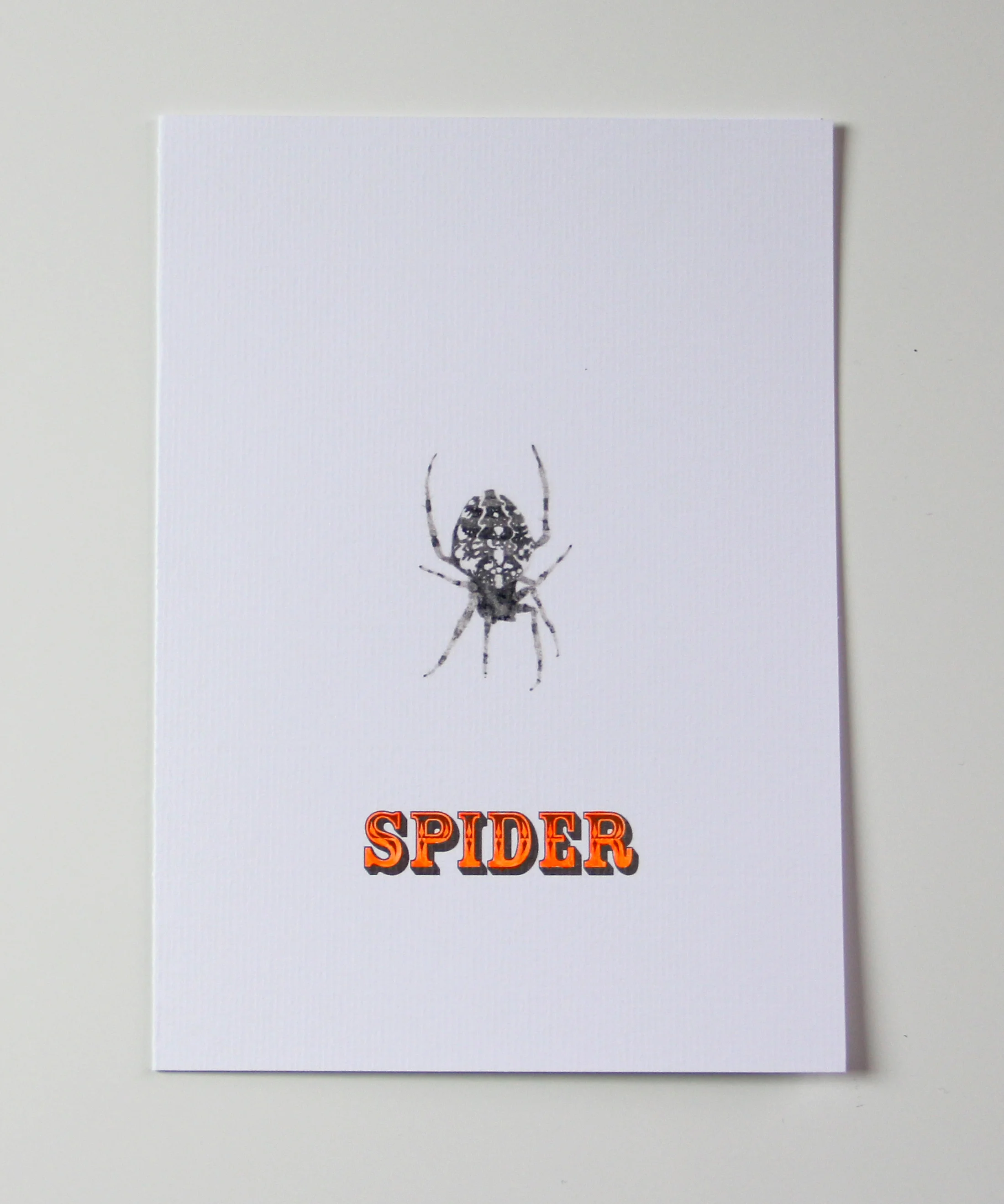 SPIDER GLOW-IN-THE-DARK NEON CARD