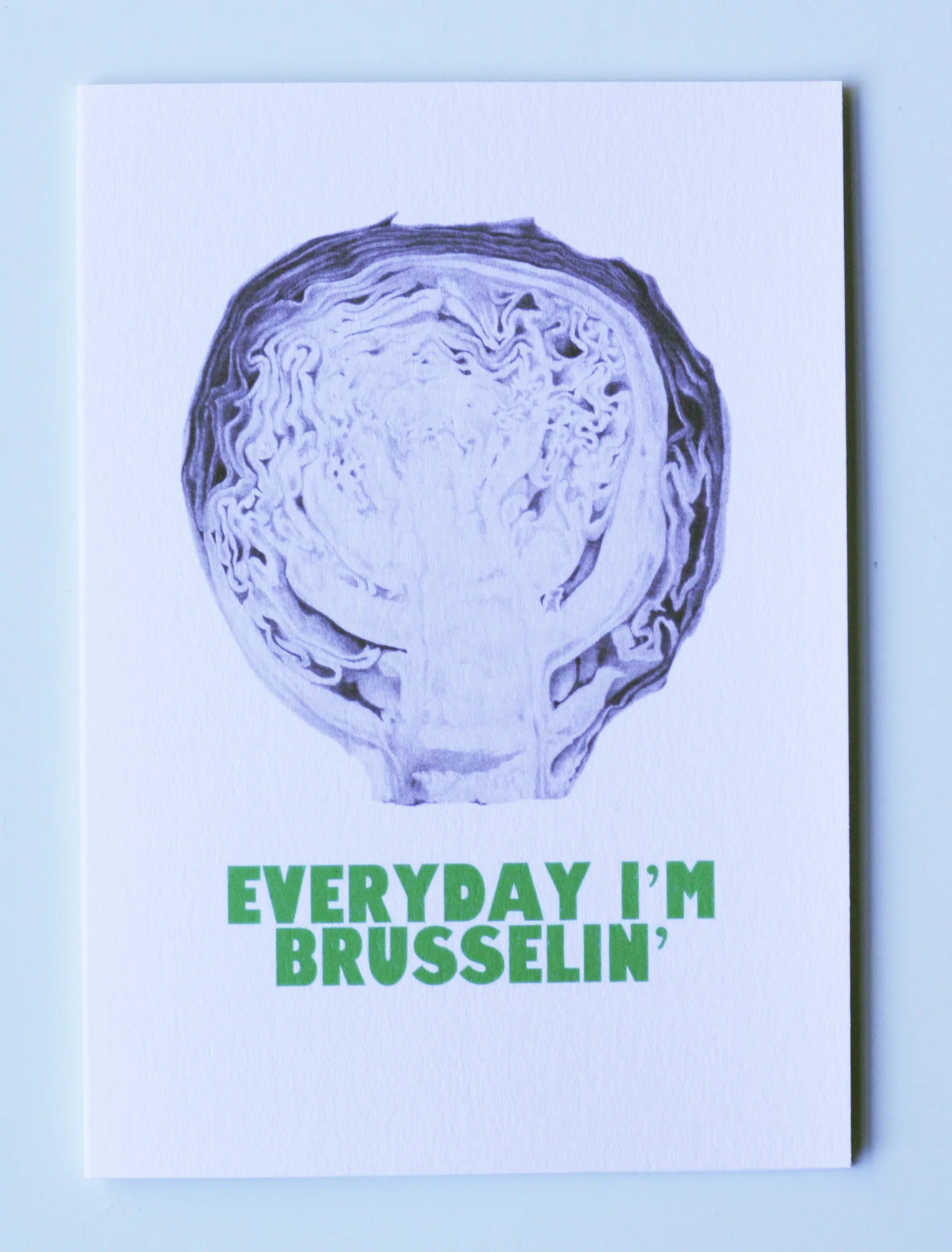 HALF SPROUT FRONT .jpg