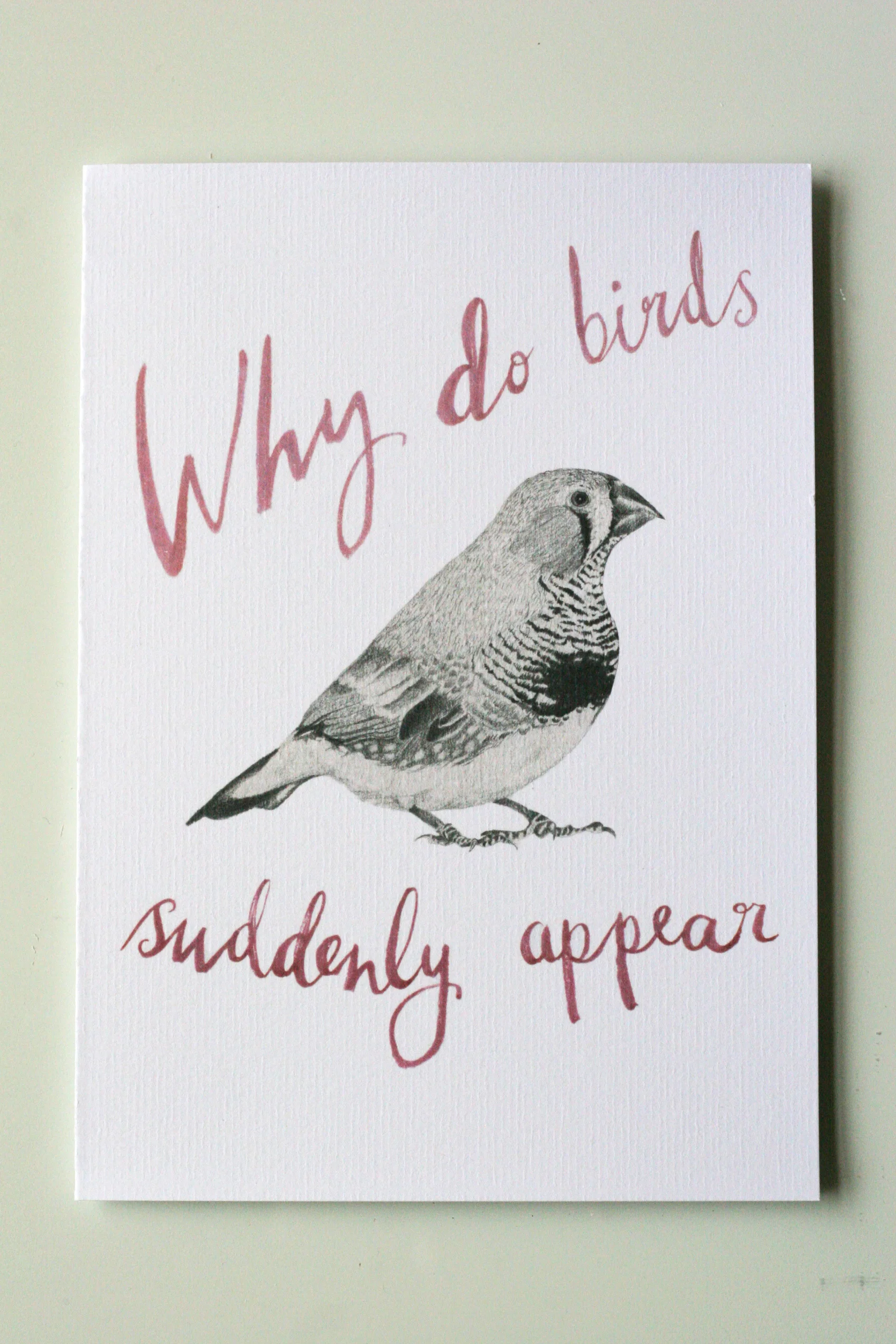 'WHY DO BIRDS' A5 Valentines Card £3.50 available in Shop> Cards