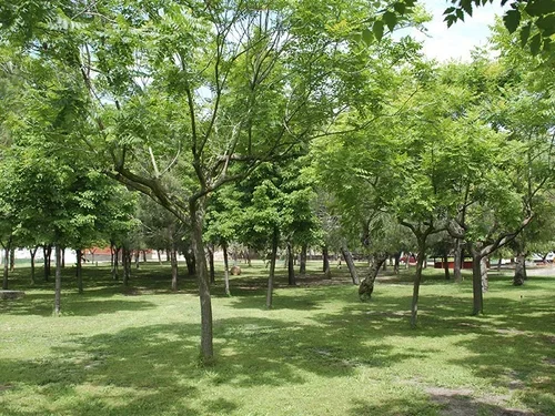 SalesianosGodelleta_Exteriores1.webp