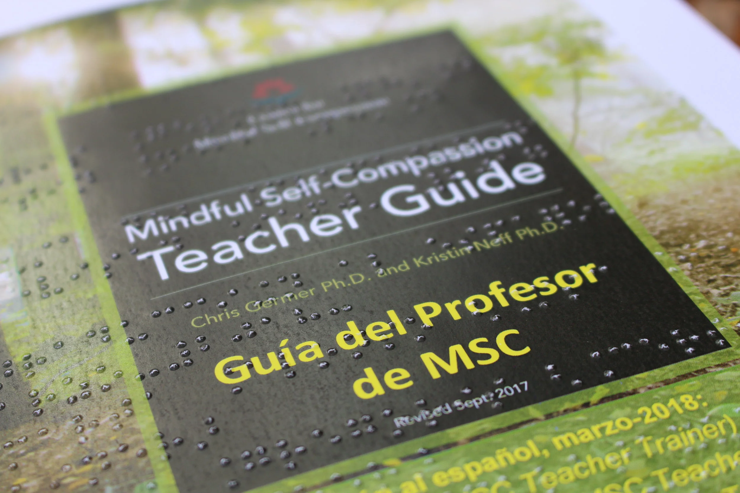 Gracias al trabajo altruista de Ana Clara Fernández (Argentina) disponemos de la Primera versión en Braille de la Guía para MSC-Teachers