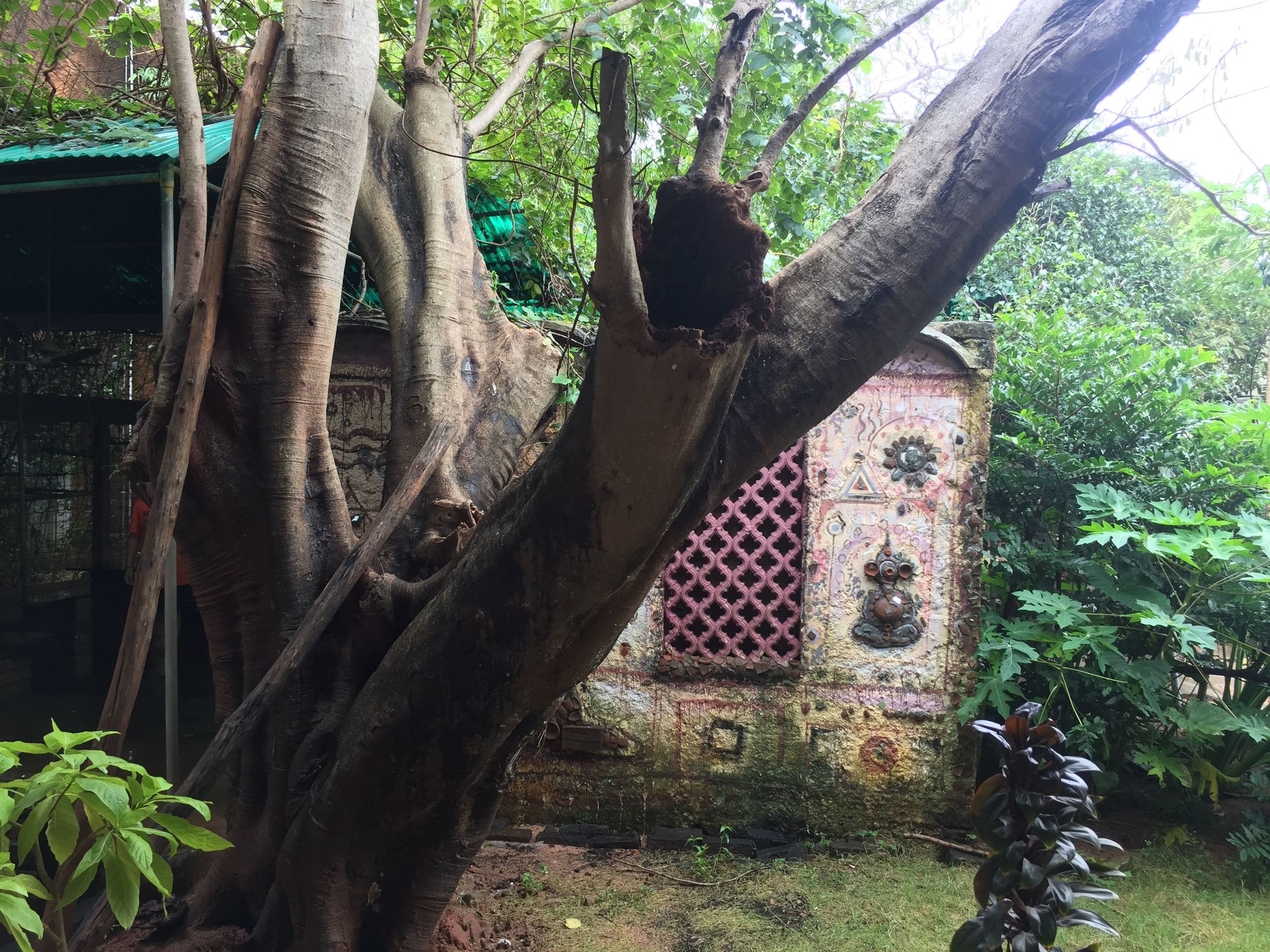 India 7: The Monsoon