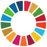 National Platforms for SDG Reporting