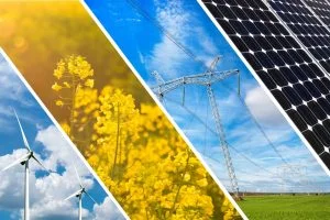 SDG Environment Energy.jpg