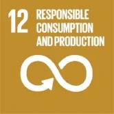 12 Responsible Production and Consumption.jpg