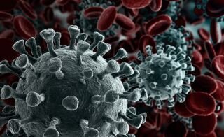 coronavirus.jpg