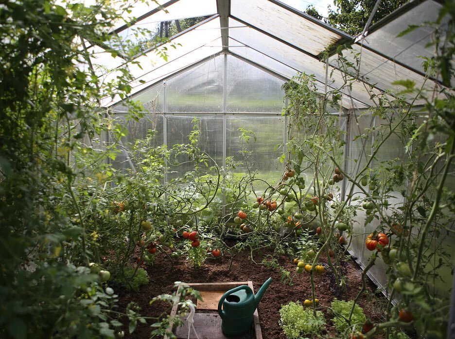 Happy 1st of May! Spring is the season of growth 🌸 🌱 Our target is to ensure sustainable consumption and production evident in goal 12 of our #sdg .
.
.
.
.
#greenhouse #farmtotable #gardenideas #sustainablefarming #sustainableagriculture #agricult