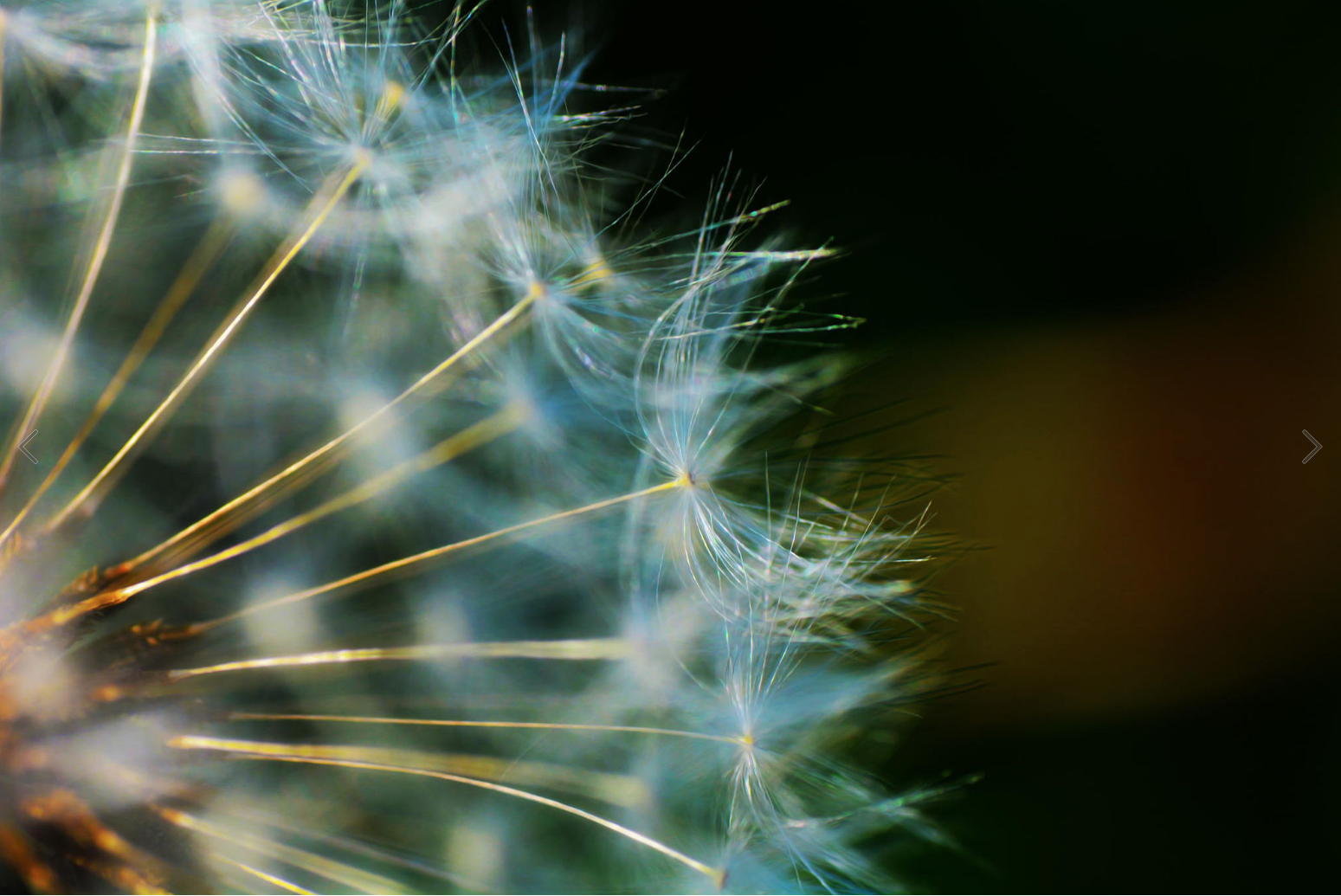 What's New : Spring 2016 