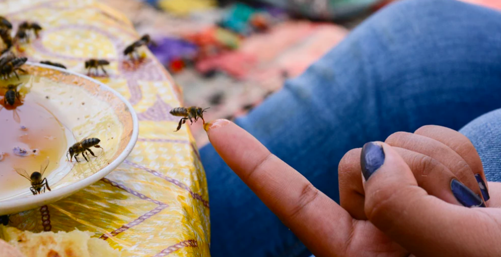 Spotify &amp; Co.  Enough! 