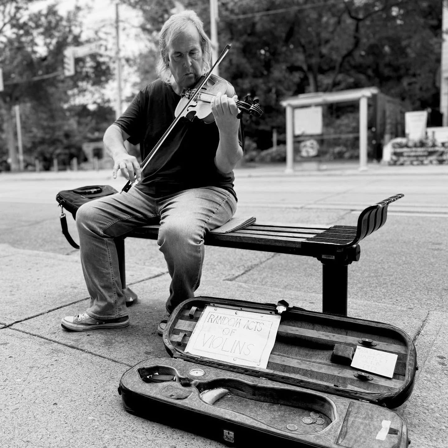 Random acts of violins.
Found along the way. 
🎻🤎