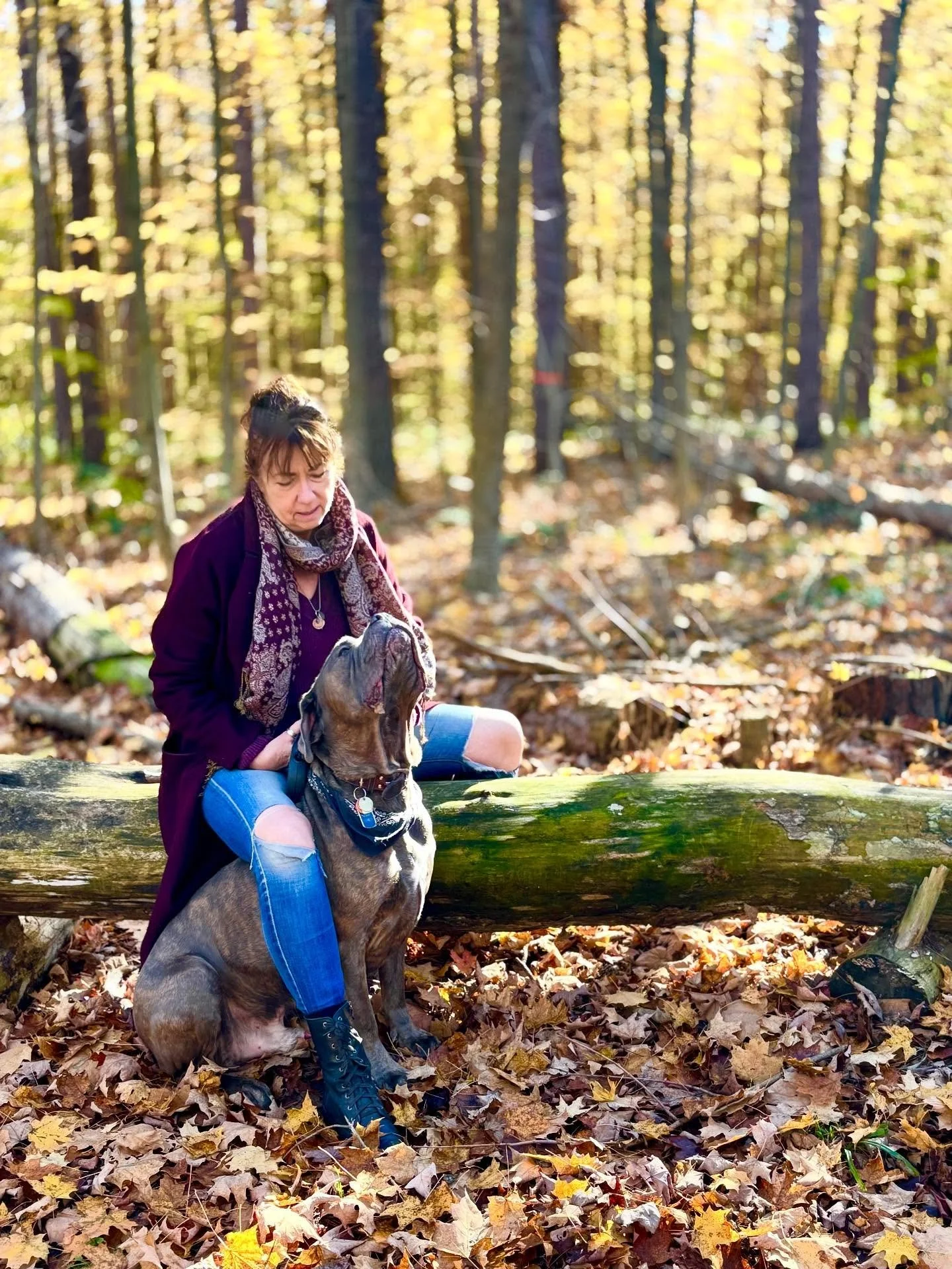 SUNDAYS
I love the sound of my feet moving through the autumn leaves - and that the still of a forest can be broken with the sound of a wee acorn falling to the ground. 
Just me, Hugo, Michael … and the quiet of the trees. ππ€