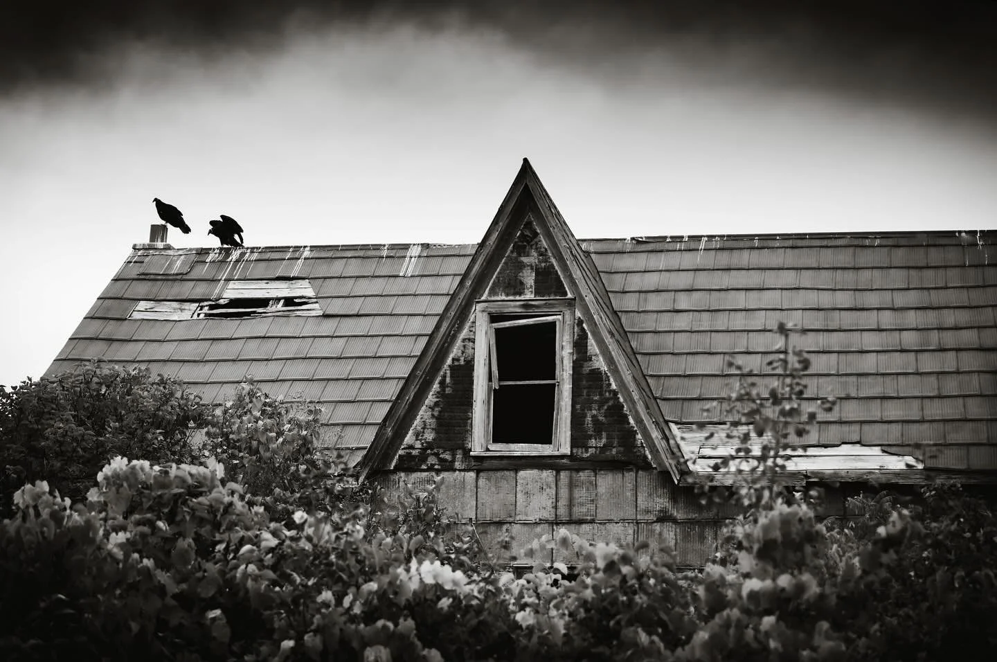 Found along the way.
HAPPY HALLOWEEN . 
🦇🐦&zwj;⬛🖤