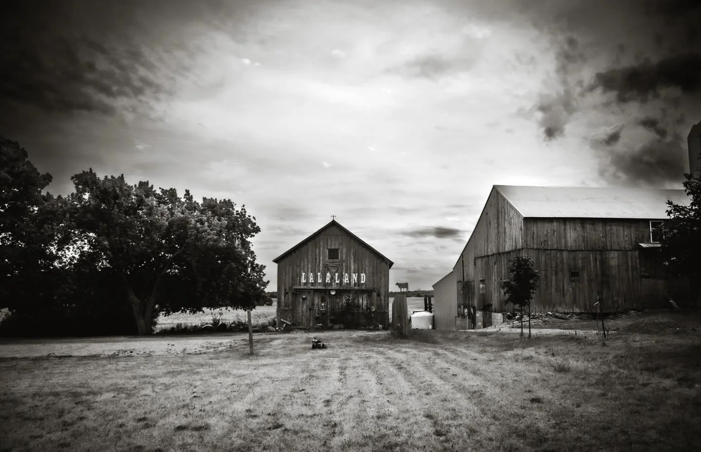 Found along the way.

La la land (noun) def. - 1. a euphoric, dreamlike mental state detached from the harsher realities of life.

Track - Lumi&egrave;re, Stephan Moccio