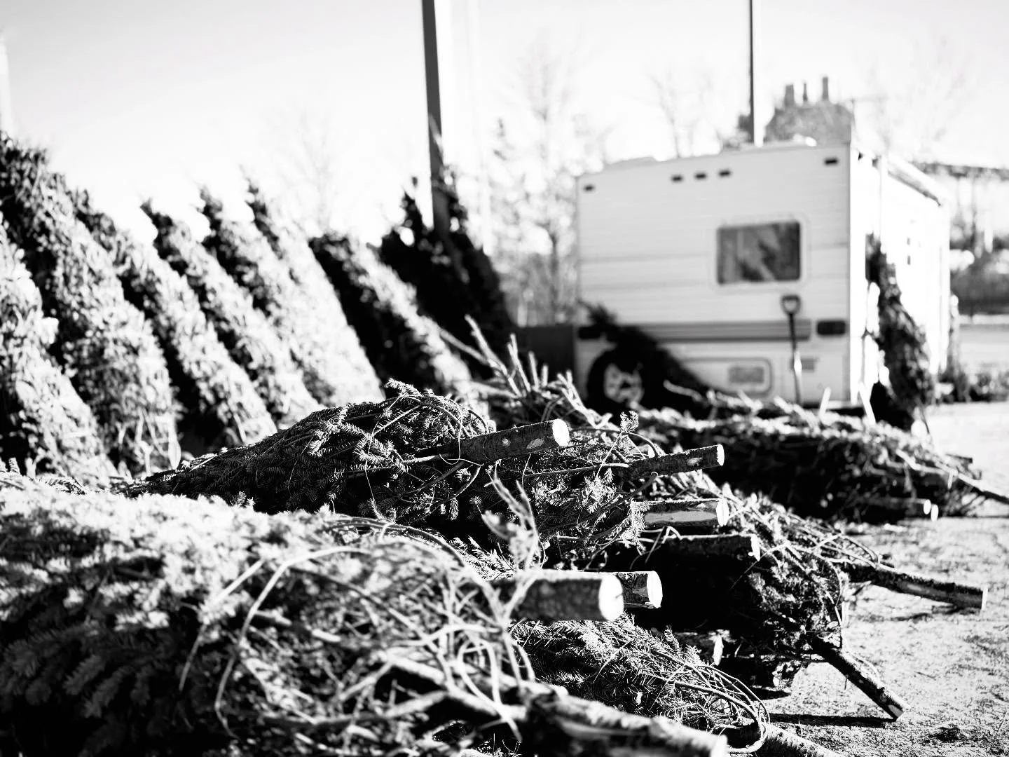 &ldquo;O Christmas tree here we are
Another year behind us 
All the bulbs and all the lights
This is what this time does&rdquo;

There&rsquo;s warmth in the small and familiar pieces of Christmas that every year make their way into our sightlines. 

