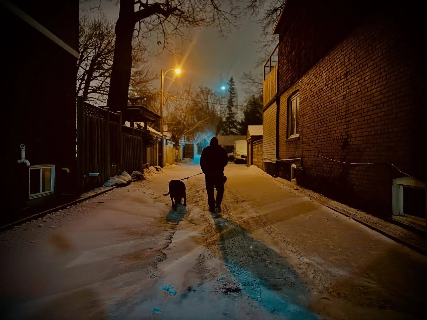 MY VIEW 
Somewhere down the lane 🌨️ 
There&rsquo;s something about the quiet calm of late night and a blanket of freshly fallen snow. Michael, Hugo and me &hellip; all coated up and out for a late night walk. 

#canadianwinter #letitsnow❄️☃️ #lateni