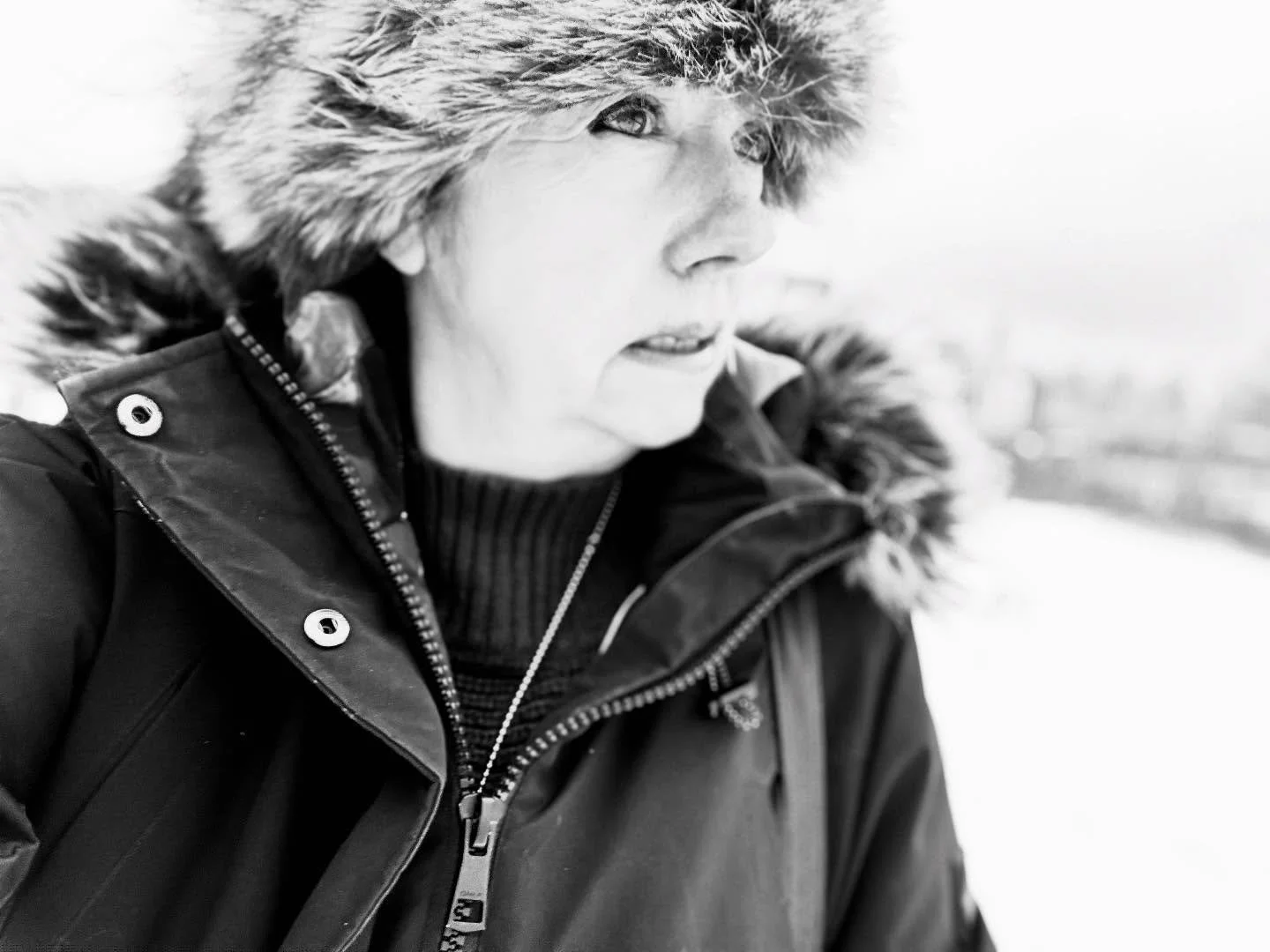 OUT AND ABOUT 

Snow falling and winds blowing an icy -14 wind on the hill. Out about sliding and sludging through getting a few do&rsquo;s done. 

And in a making time to take time moment - stopping to check out a familiar, one of my favorite,  skyl