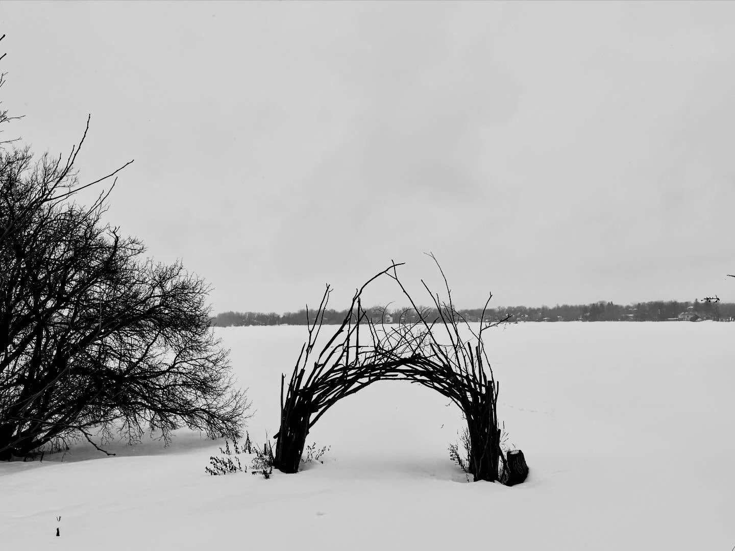 Doors 

I love that doors come in different shapes,  sizes  and colors and that they come from different sources. 

Today a new door took me north of the city to where the view is set on a serene and beautiful lake - and to where I curiously began to