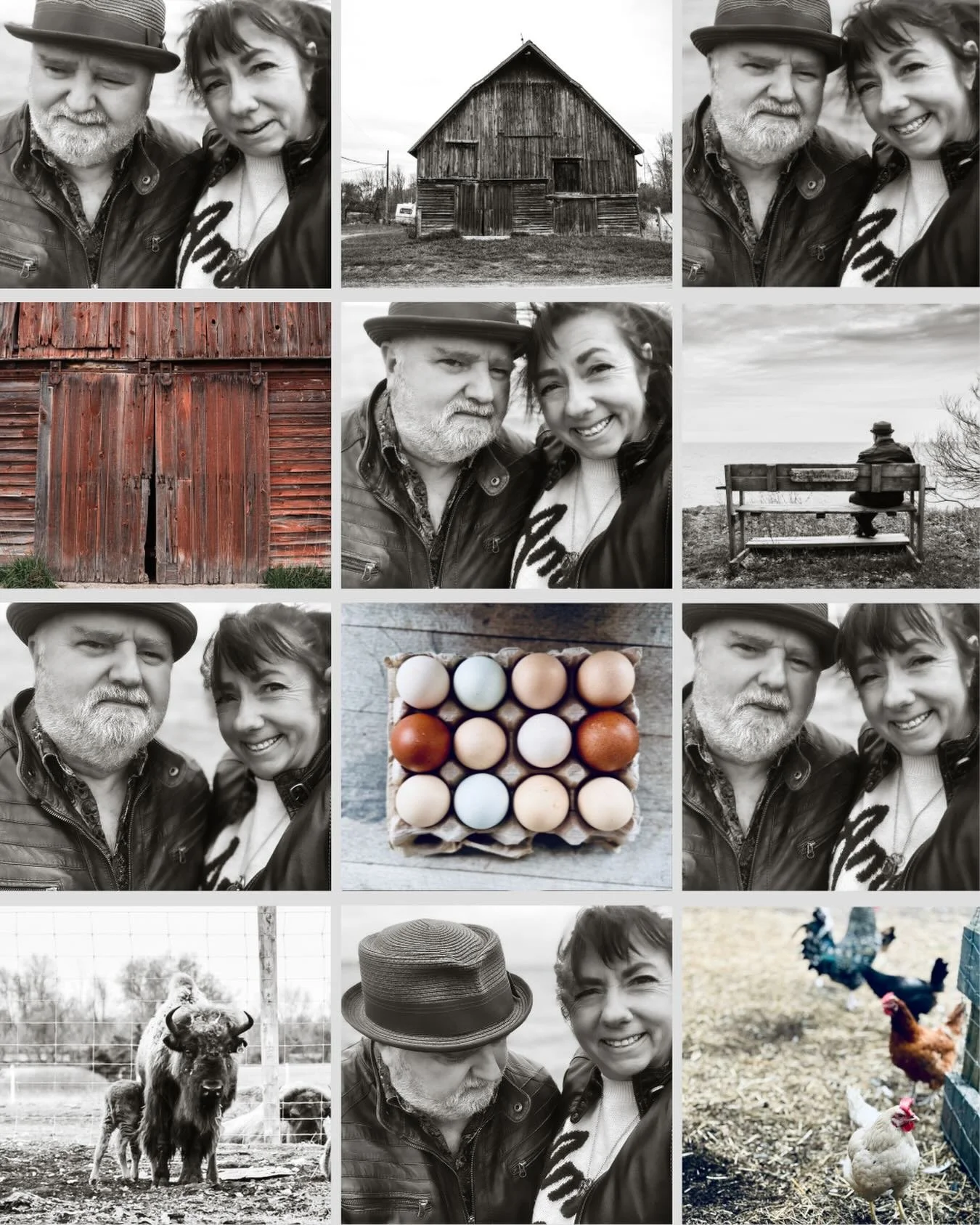 A day 

&hellip; and as we do, Michael and I took to the road, heading to Prince Edward County.

A gray rainy day, we exited early the 401 for a leisurely drive arriving deep in the county at Wapoos Estate Winery. 

The food as always, excelled, the 