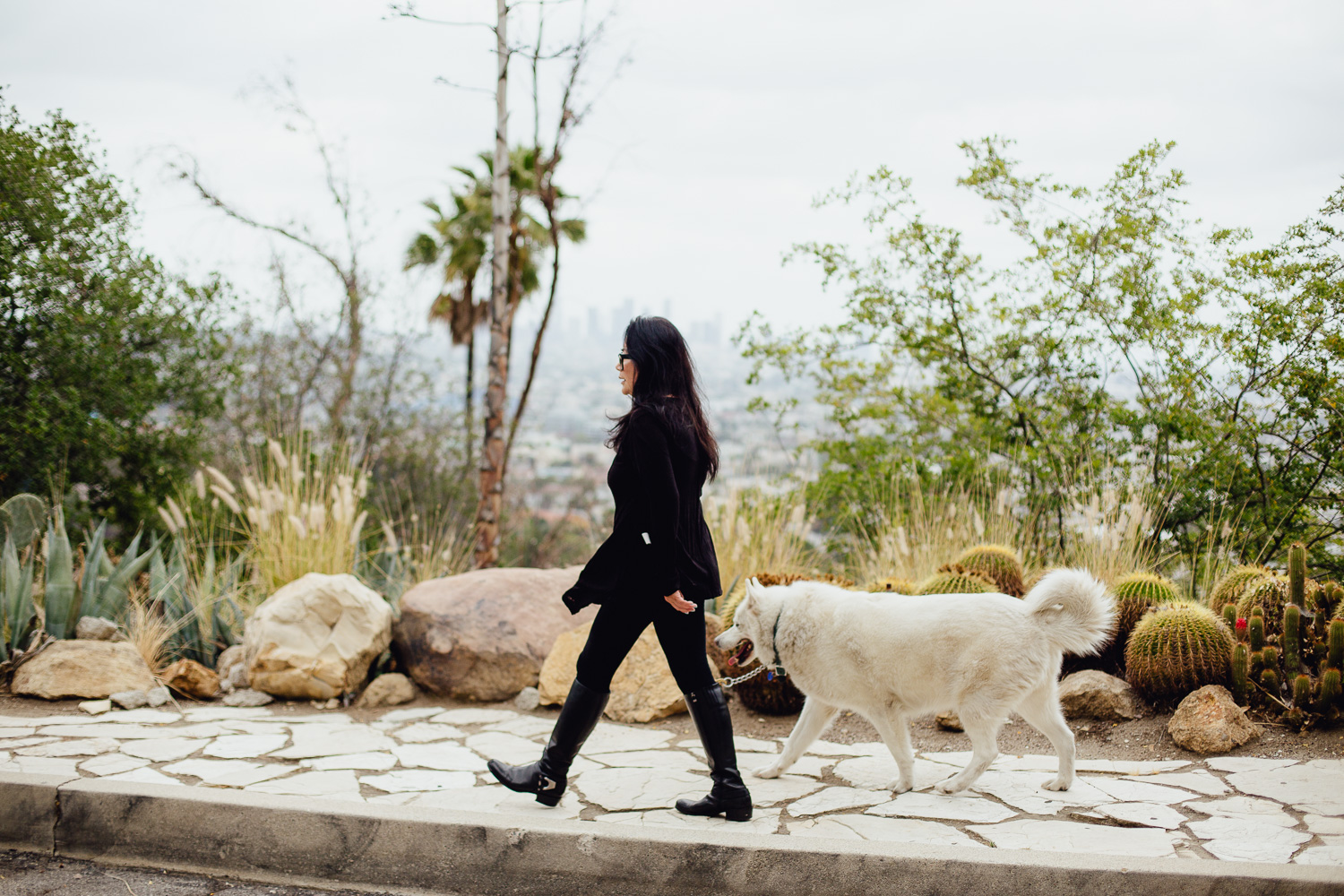 Best about where she lives? The view over downtown LA while walking Buddy the Malamute