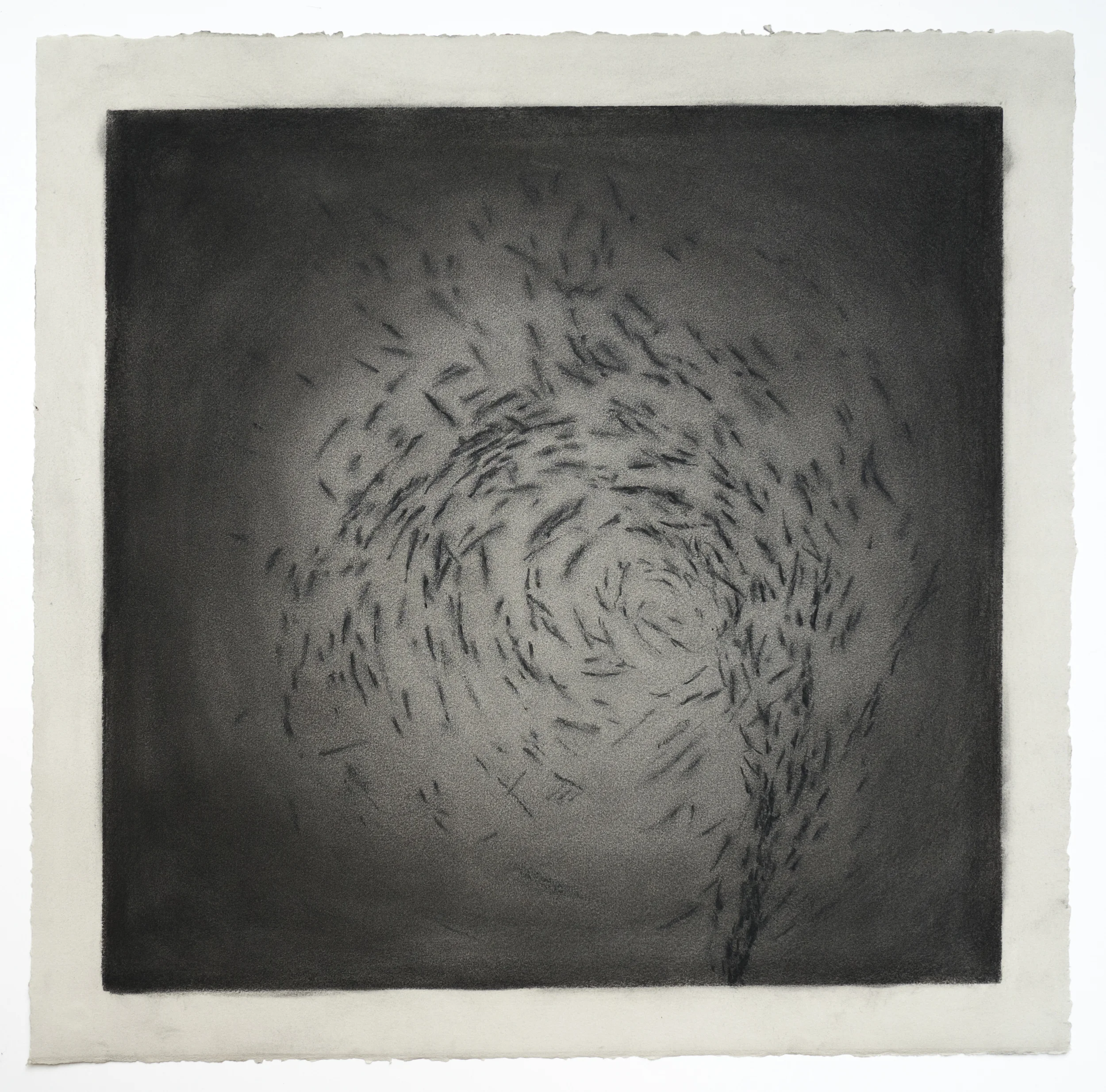 The Plunge VII
