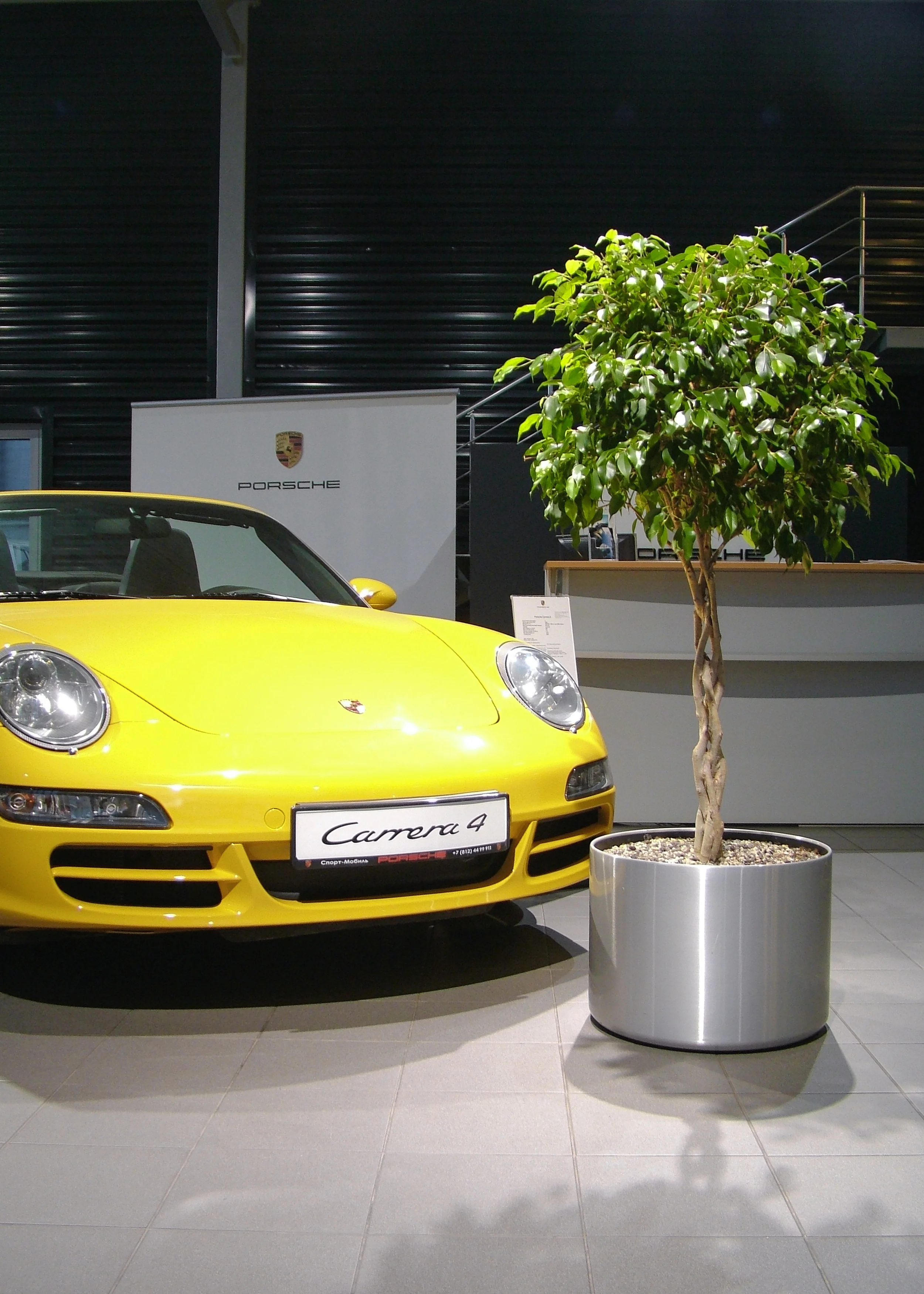 DSCF0782-2.jpg