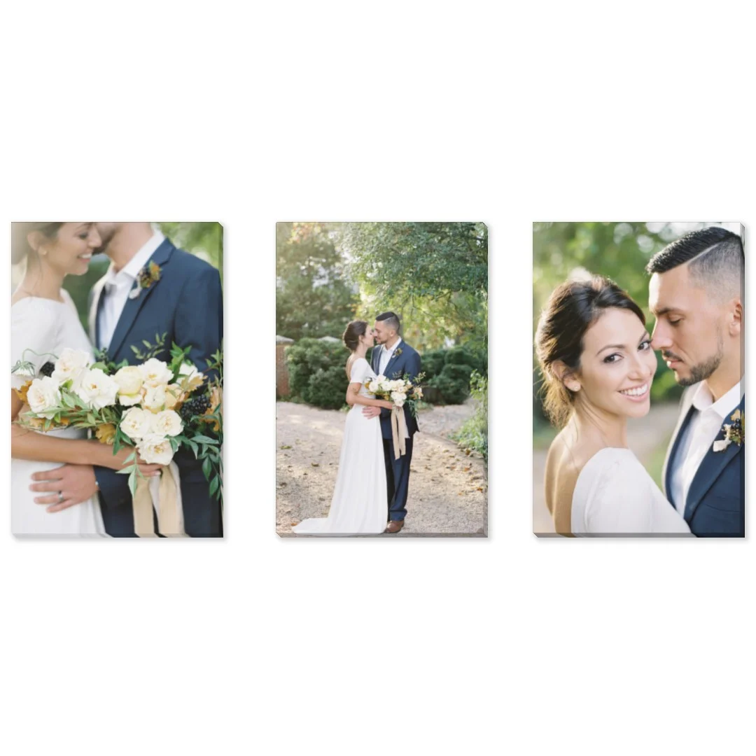 Three Of A Kind: Multi Photo 3 Piece Canvas Cluster (24" x 52")