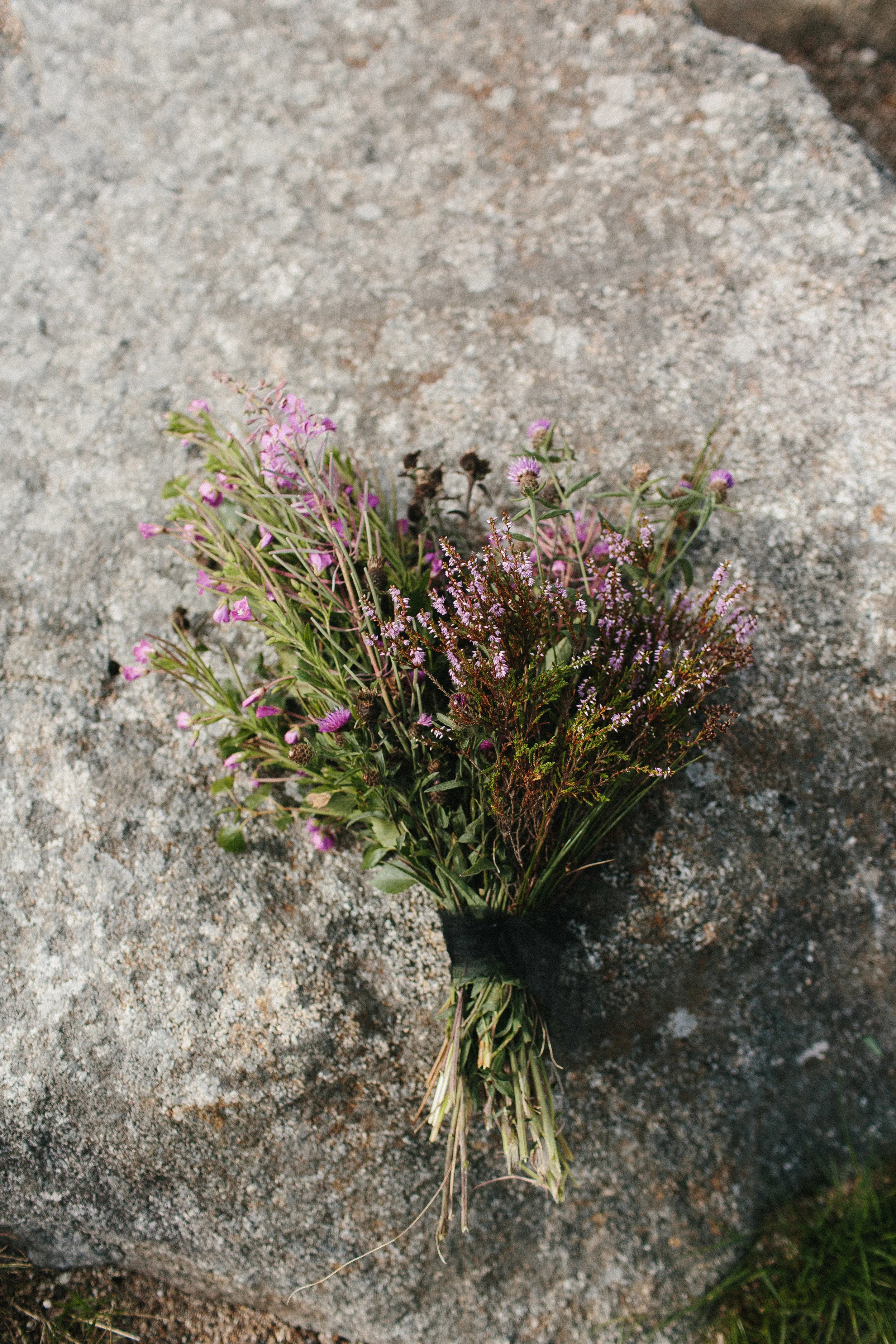 ireland_elopement_black_wedding_dress_wicklow_glendalough_athy_st_kevins_way_1141.jpg