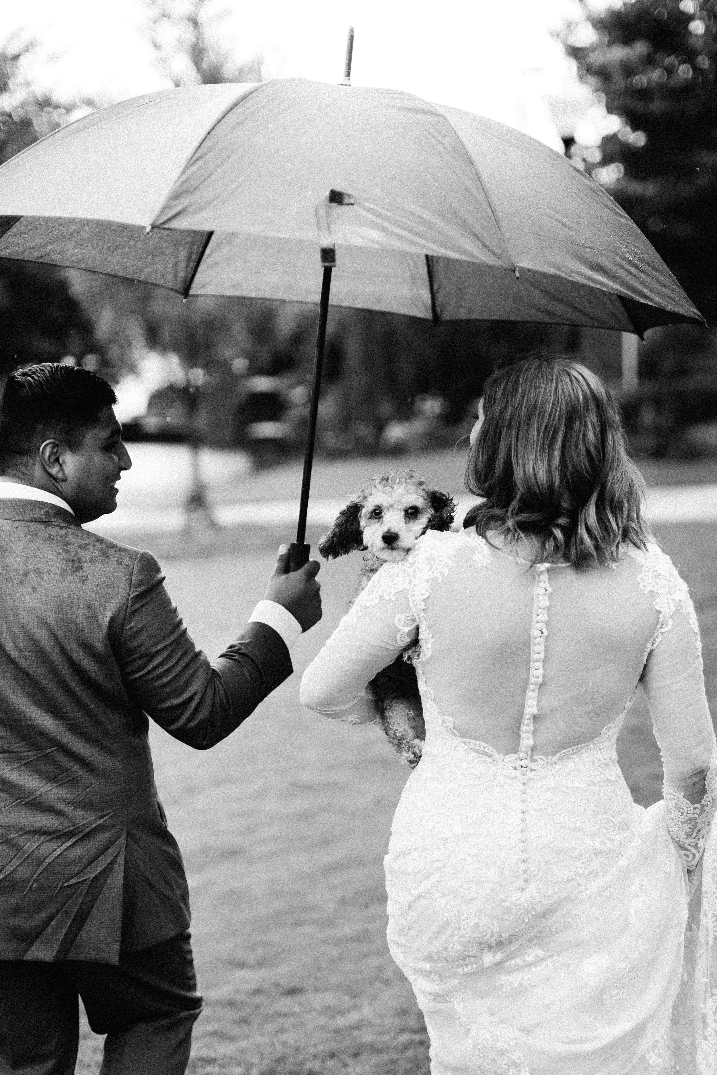 newnan_georgia_elegant_rainy_park_elopement_dogs_pups_tiny_wedding_backless_dress_blue_suit_georgia_atlanta_photographer_1260.jpg