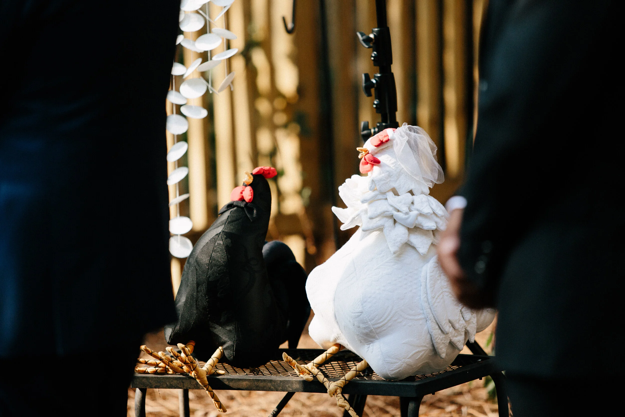backyard_sun_in_my_belly_wedding_diy_at_home_atlanta_inman_park_arty_photographer_1414.jpg