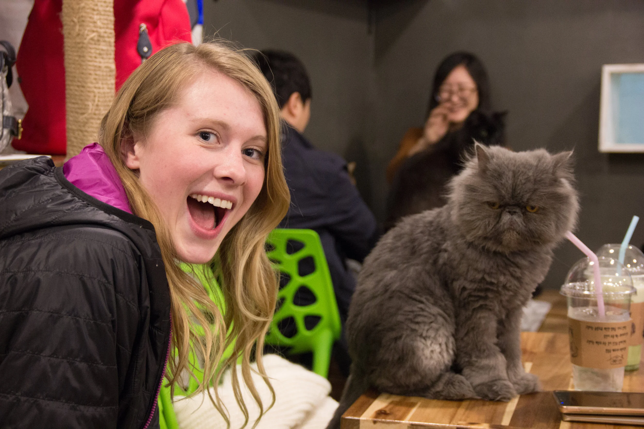 Yes, the grumpy cat was actually grumpy.