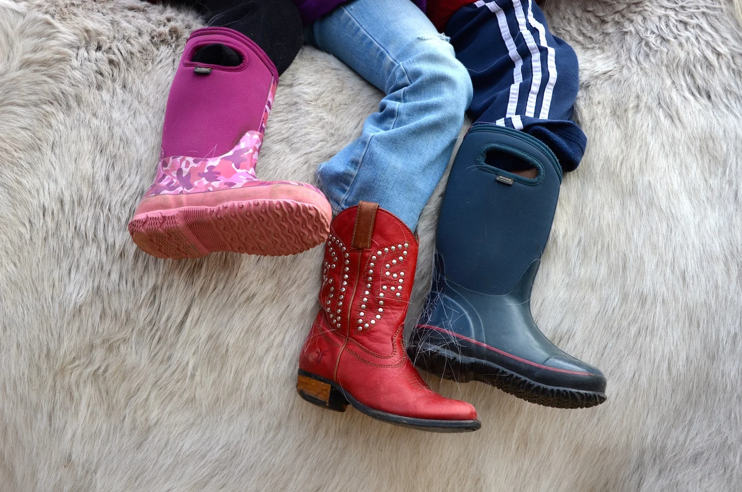 Dressed for the Occasion