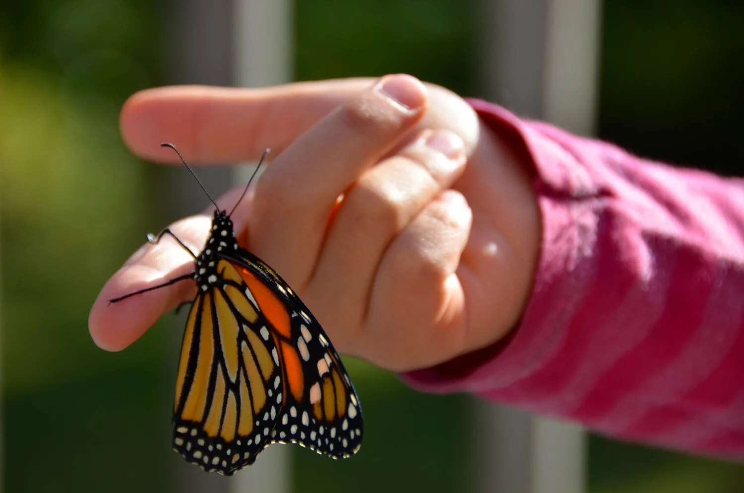 Approaching the End of Daylight Savings Time