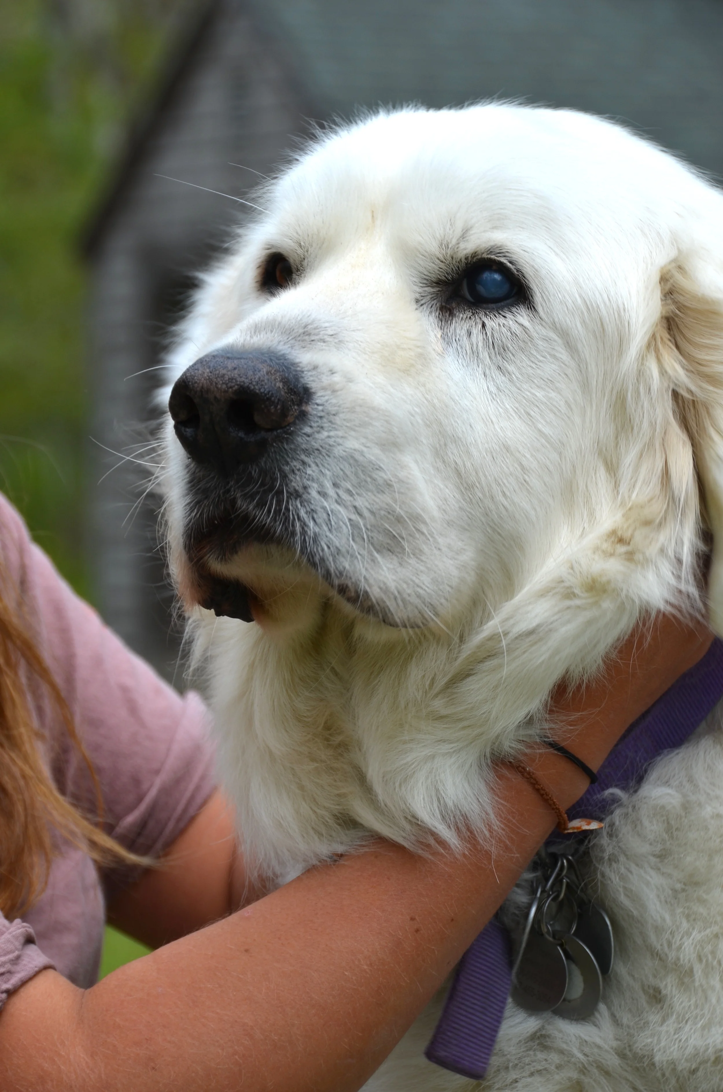A Great Night’s Sleep for the Entire Family