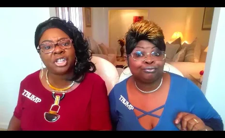 INSPECTOR DIAMOND AND SILK TO THE RESCUE