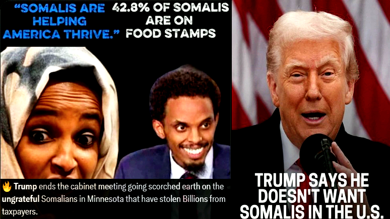 President Trump Tells Ungrateful Anti-American Somali Refugees: “Go Back and Fix Your Own Country”