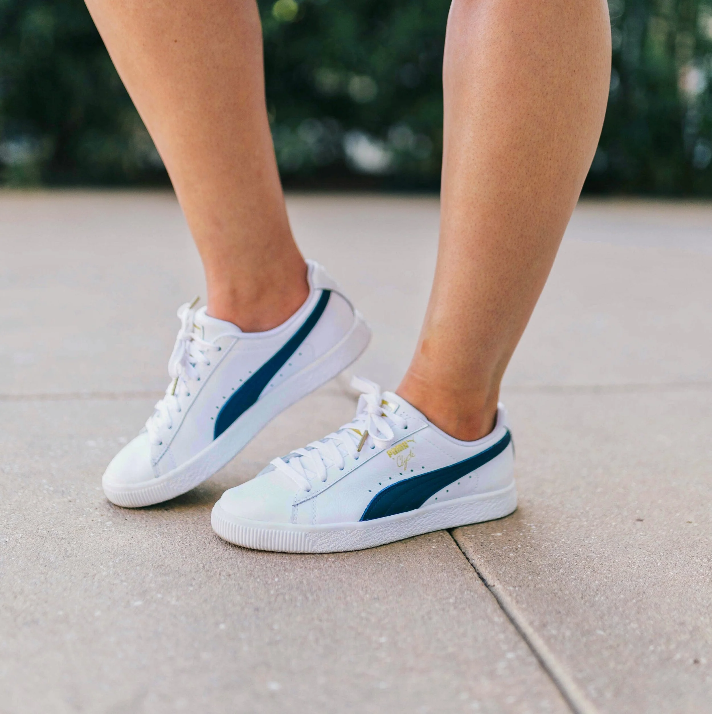 2017-04-04 02.37.17 1-01.jpeg