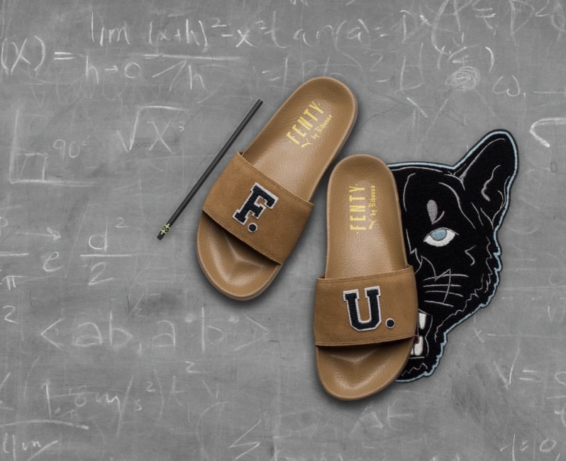 fenty university slides