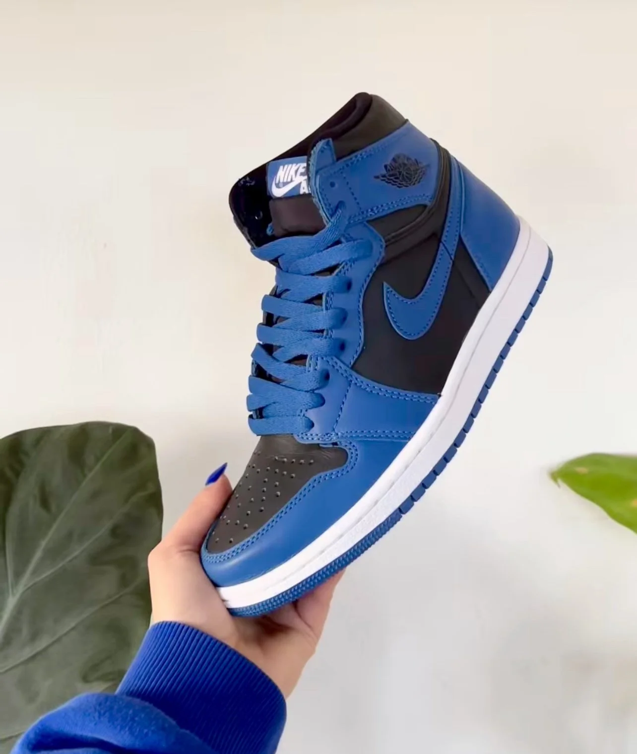 CNK Presents: The Hot List                                     