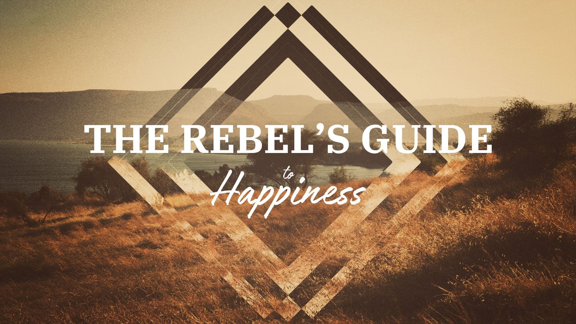 Rebels Guide LG.jpg