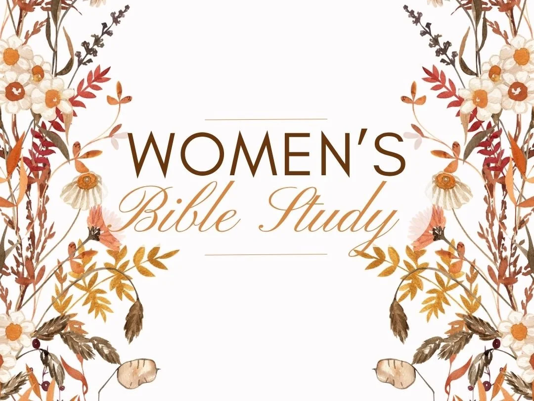 Women's Bible Study Continues