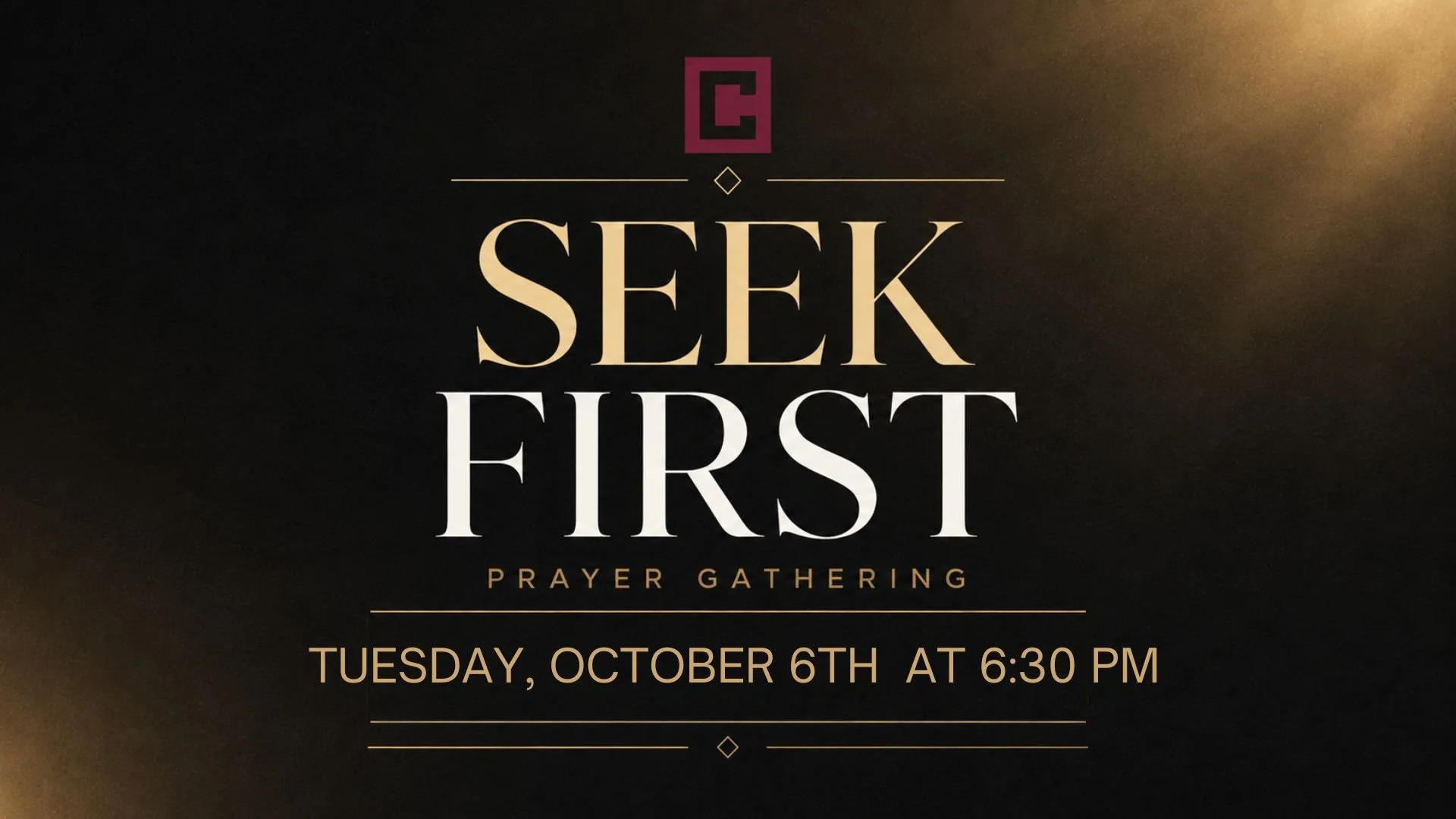 Seek First OCT LG.jpg