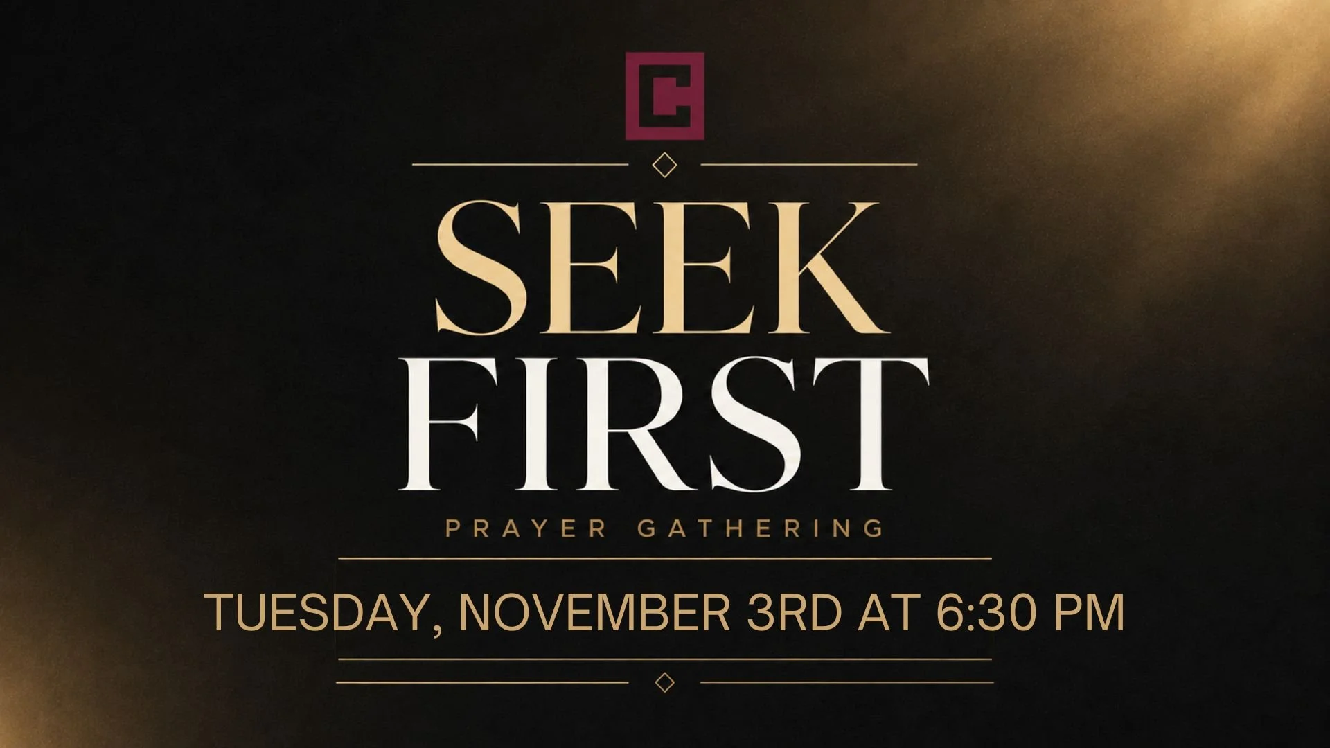 Seek First NOV LG.jpg