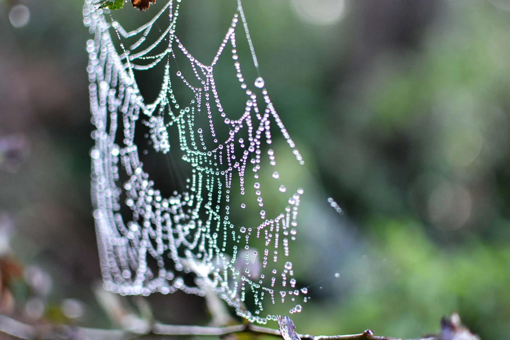 Inspiration-8955