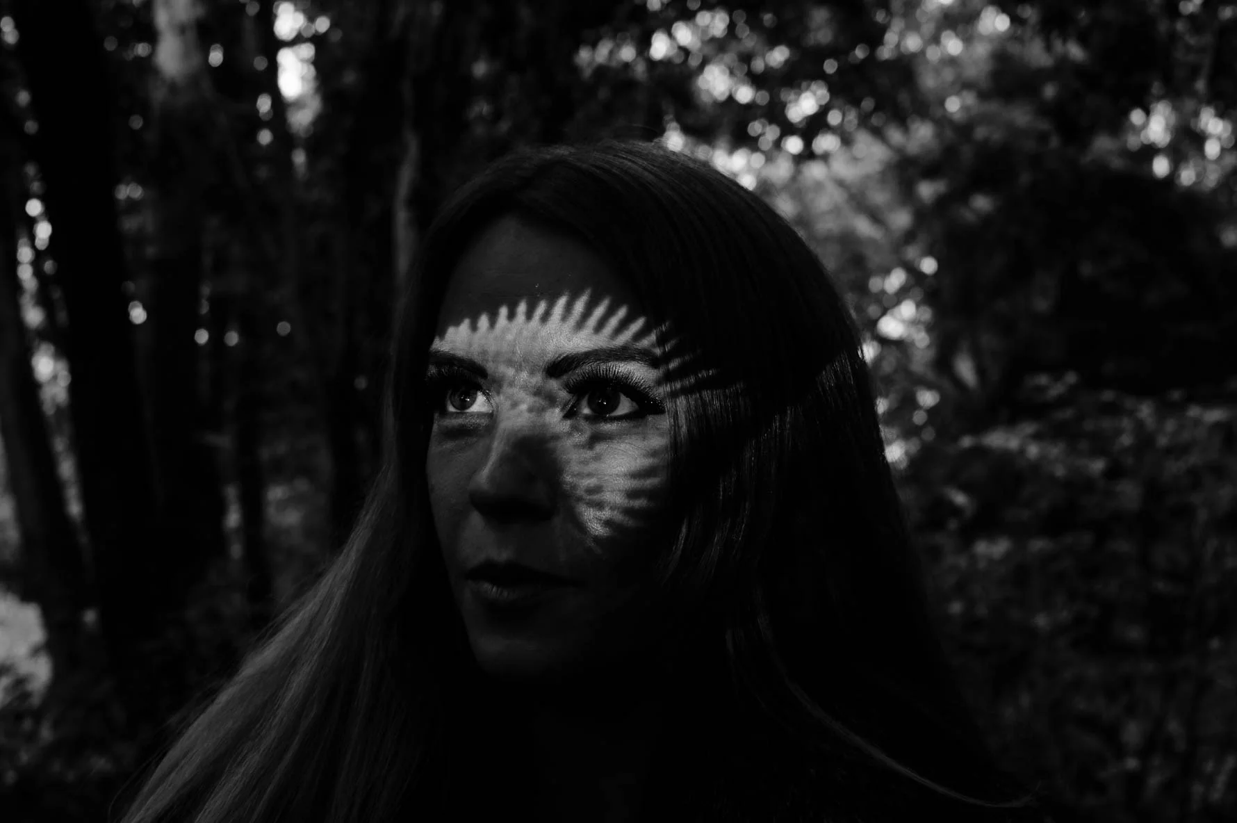 woods-20140828486